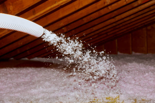 Best Eco-Friendly Insulation in Paradise, CA