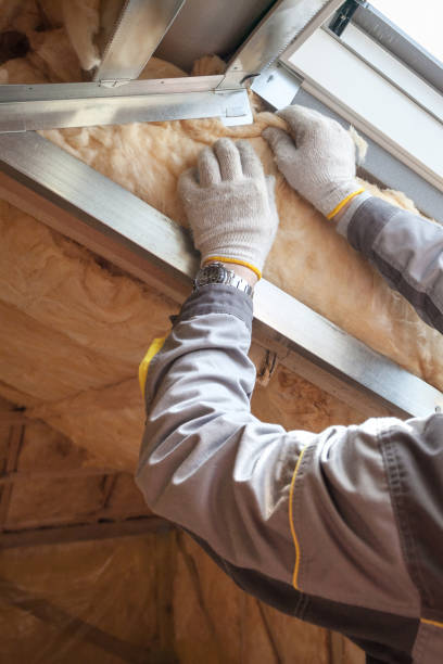 Best Cellulose Insulation in Paradise, CA