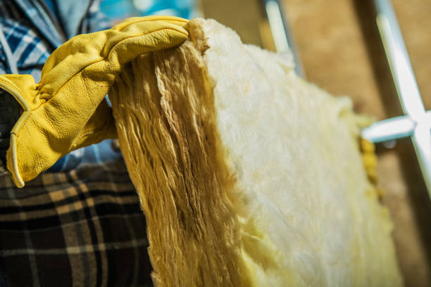 Best Insulation Maintenance and Repair in Paradise, CA